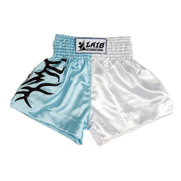 Boxing MMA Shorts_776_pic_3