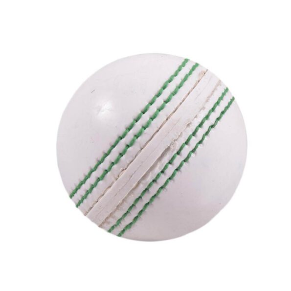 Cricket Ball_730_pic_3