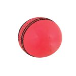 Cricket Ball