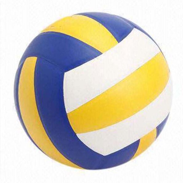 Volley Ball_721_pic_3